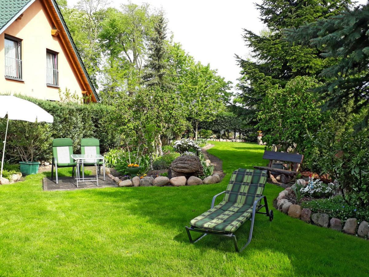 Pension Zum Weissen Hirsch Reitwein Exteriér fotografie