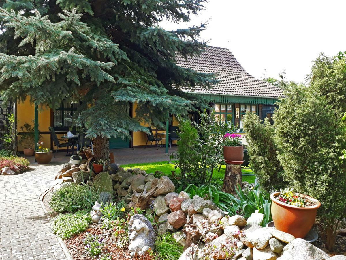 Pension Zum Weissen Hirsch Reitwein Exteriér fotografie