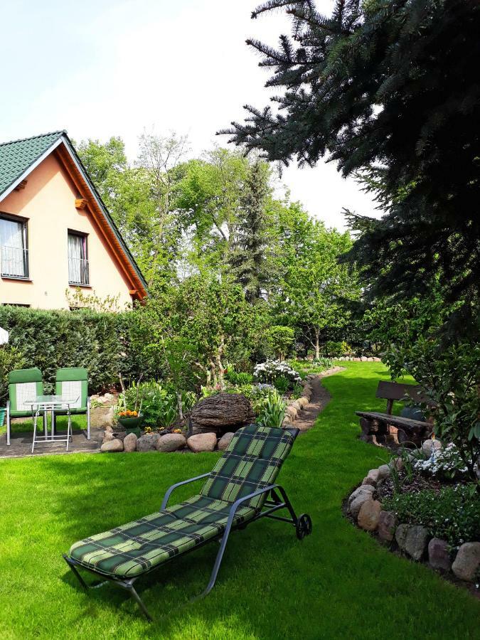 Pension Zum Weissen Hirsch Reitwein Exteriér fotografie