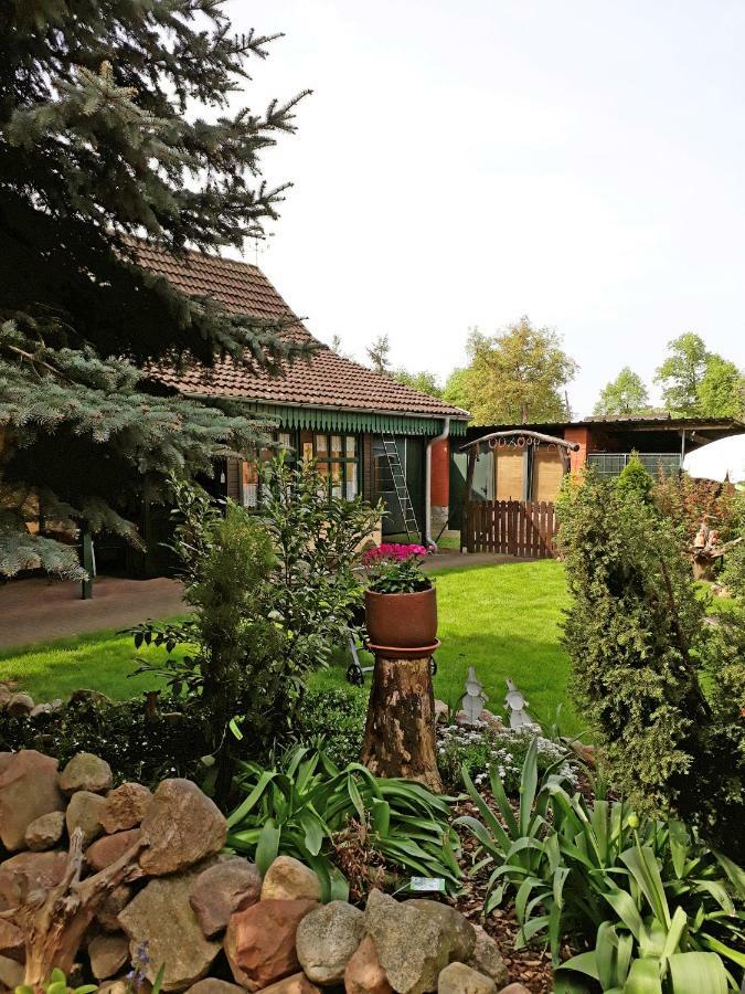 Pension Zum Weissen Hirsch Reitwein Exteriér fotografie